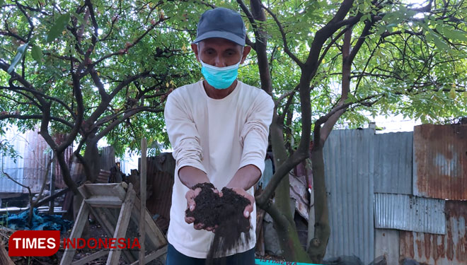 Abu Sofyan salah satu warga Kota Palu, Sulawesi Tengah yang membuat pupuk organik dari limbah daun-daun kering. (Foto : Sarifah Latowa/Times Indonesia)