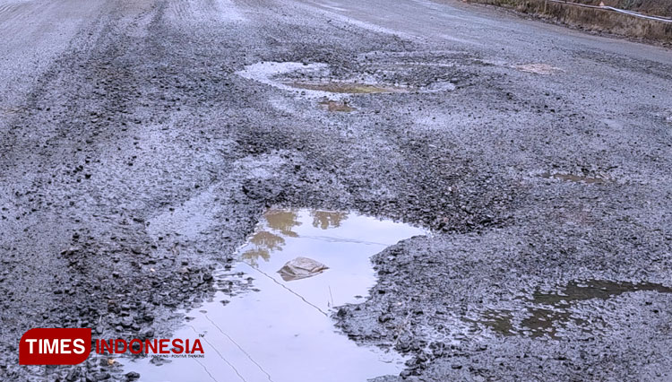 Kondisi jalan Provinsi Jawa Timur yang berlobang  berada di jalur Pacitan-Nawangan-Purwantoro (Foto: Rojihan/TIMES Indonesia)