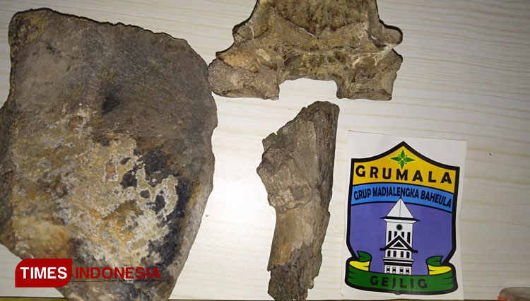 Fosil-Rusa-Purba-Ditemukan-di-Majalengka-1.jpg