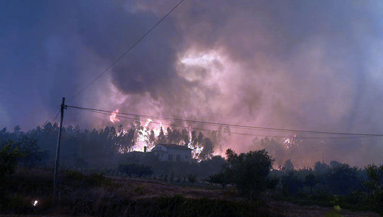 Cuaca Panas Sebabkan Ribuan Hektar Lahan di Eropa Alami Kebakaran