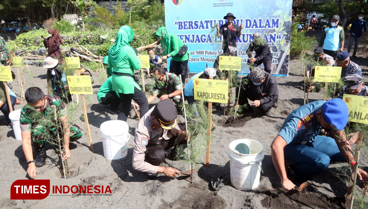 Prosesi penanaman 10 ribu bibit Cemara dan Mangrove di kawasan Pantai Cemara Banyuwangi. (Foto : Laila Yasmin/TIMES Indonesia)