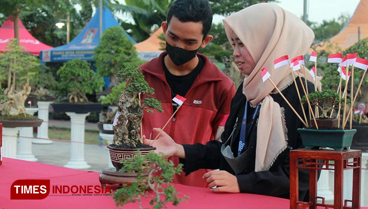 2 Desa di Kabupaten Kediri Bakal Inisiasi Pembuatan Suvenir Bonsai Mini