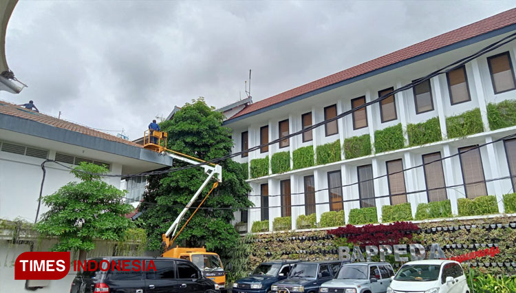 Proses evakuasi monyet di Kantor Bupati Banyuwagi. (Foto: Imam Hamdani/TIMES Indonesia)
