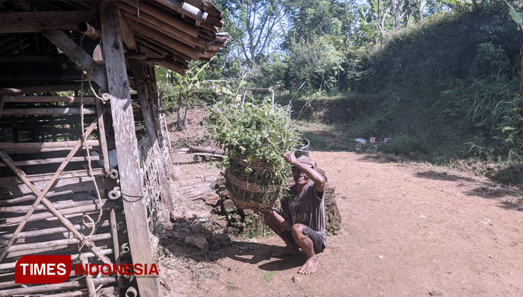 Potret-kemiskinan-di-Pacitan-2.jpg