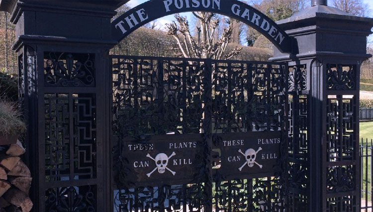 The Poison Garden, Alnwick, Inggris. (Foto: The Alnwick Garden) 