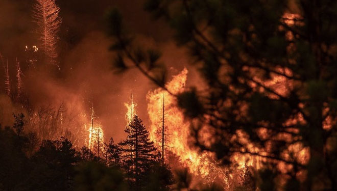 California Darurat Karena Aktifnya Kebakaran Hutan Terbesar di Amerika Serikat