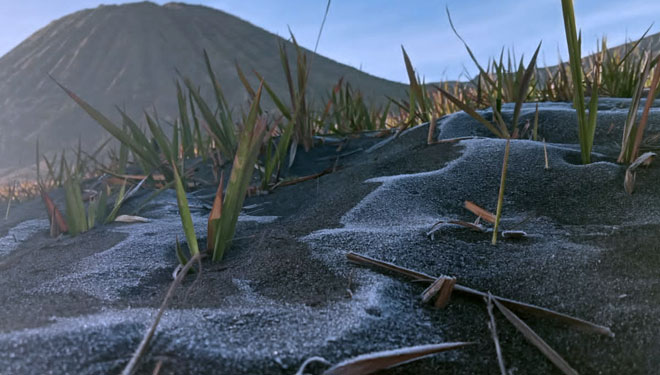 Embun es bercampur dengan pasir di Kaldera Lautan Pasir Gunung Bromo. (Foto: Rudi for TIMES Indonesia)