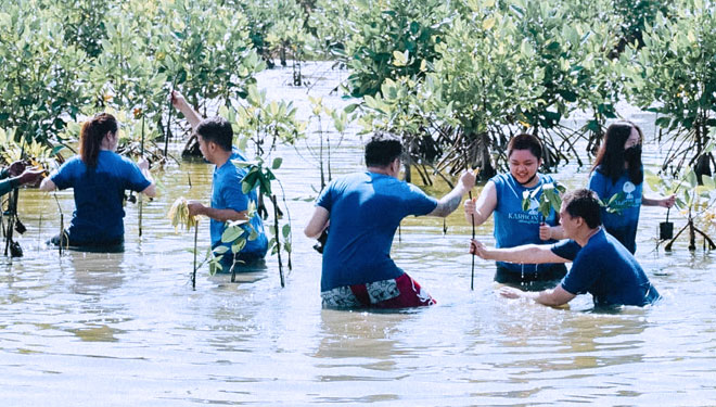 Penanaman 1000 bibit mangrove di Eko Wisata Wonorejo. (foto: Dok. Karbon Biru)