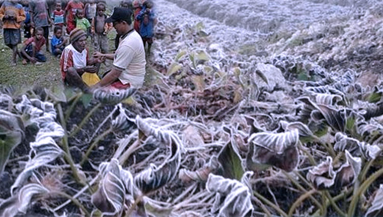 Masyarakat Lanny Jaya Papua saat menghadapi bencana alam - (FOTO: pusatkrisis.kemkes.go.id)