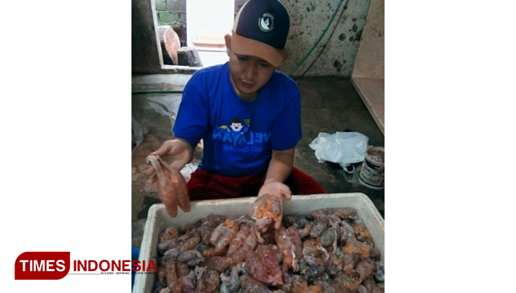 Telur Ikan Kadukang dari Pangandaran Dipasarkan ke Thailand dan Hongkong