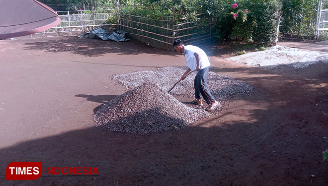 Petani kopi tengah menjemur hasil panen (Foto : Asnadi/Times Indonesia)