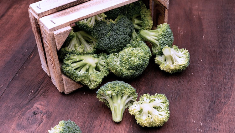 ilustrasi brokoli. (FOTO: Freepik)