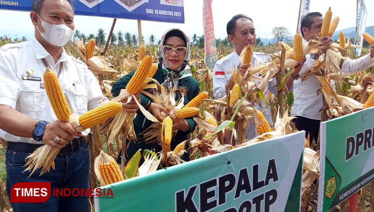Staf Khusus Menteri Pertanian: Penting Menjaga Ketersediaan Pangan