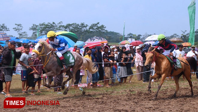 para joki saat berlomba memacu kuda untuk menjadi yang tercepat (Yobby/Times Indonesia)cu kuda untuk menjadi y