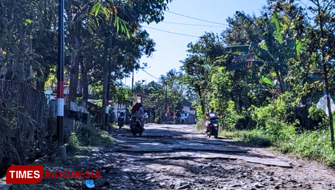 Kondisi jalan di Kecamatan Tlogosari Kabupaten Bondowoso. Jalan ini jadi akses utama aktivitas masyarakat (FOTO: Moh Bahri/TIMES Indonesia)