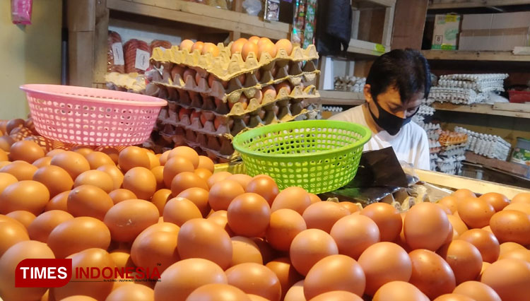 Ilustrasi pedagang telur. (FOTO: Dok TIMES Indonesia)