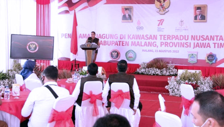 tanam-jagung-di-KTN-Turen.jpg