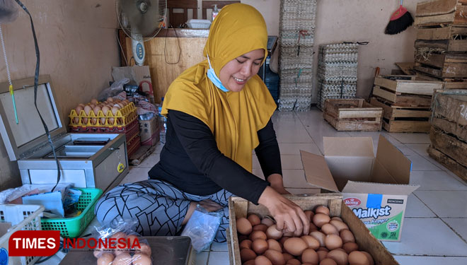 Harga-Telur-Ayam-c.jpg