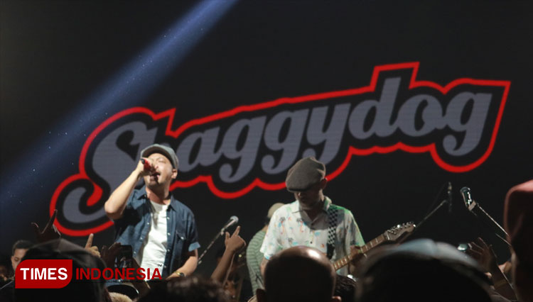 Shaggydog-2.jpg