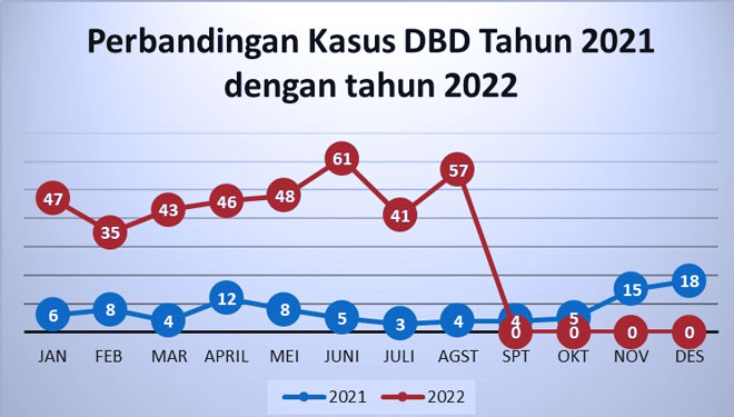 Waspada! Ratusan Orang di Banyuwangi Terserang DBD, Sembilan Orang