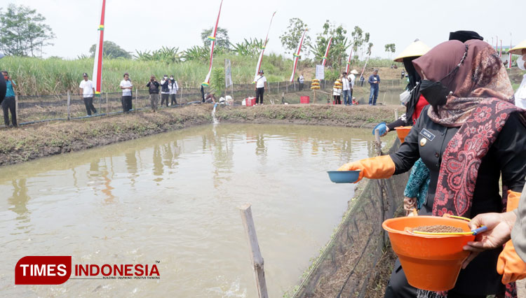 Proses-panen-tambak-milik-warga-di-Desa-Ngingasrembyong-a.jpg