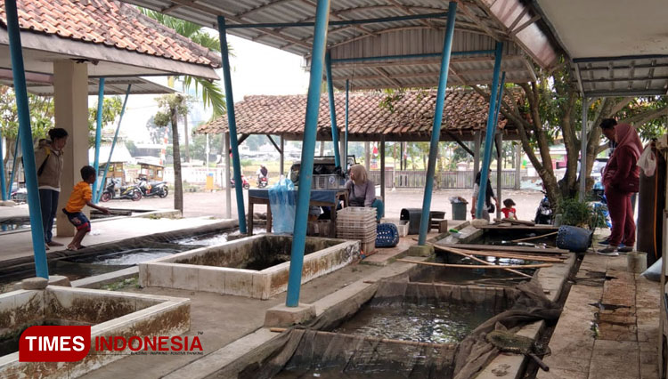 Harga Ikan Air Tawar di Majalengka Merangkak Naik, Mendekati Harga Daging Ayam
