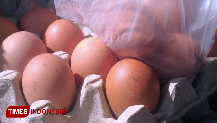 Kenaikan Harga Telur Tak Buat Peternak di Kediri Banjir Untung