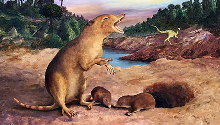 Brasilodon Ambil Posisi Morganucodon Sebagai Mamalia Tertua di Bumi