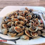 Menyicip Lezatnya Kerang Dara Saus Pedas di Omah Van Java Pacitan