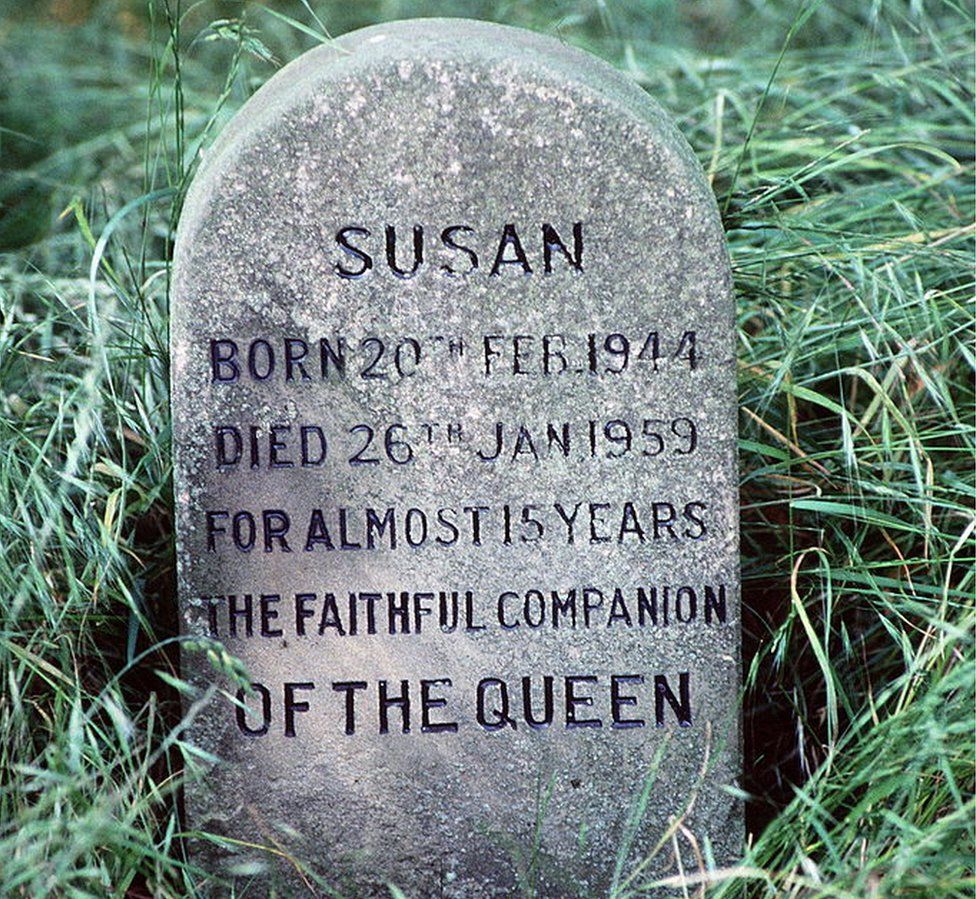 Susan.jpg
