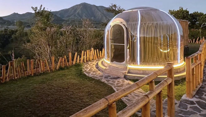 Top Four Dazzling Glamping Destinations in Malang