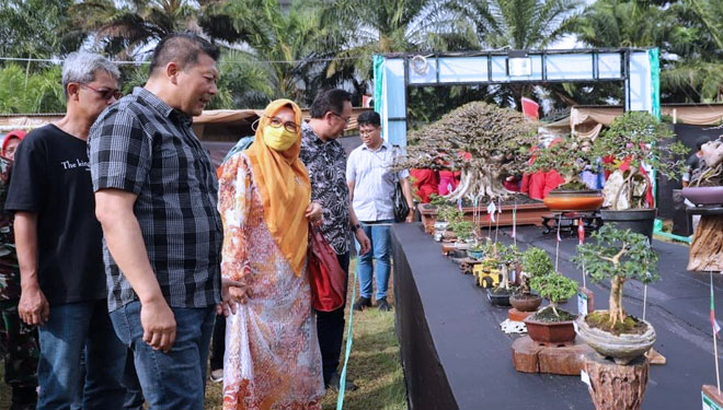 Ratusan Bonsai Ikuti Kontes Dan Pameran Di Karangploso Harganya Capai Rp375 Juta Times Indonesia 0767