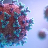 Update Pasien Positif Covid-19 di Indonesia, Bertambah 1939 Kasus dalam 24 Jam