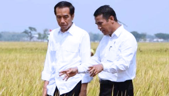 Presiden-RI-Jokowi6e705037aacb9b1a.jpg