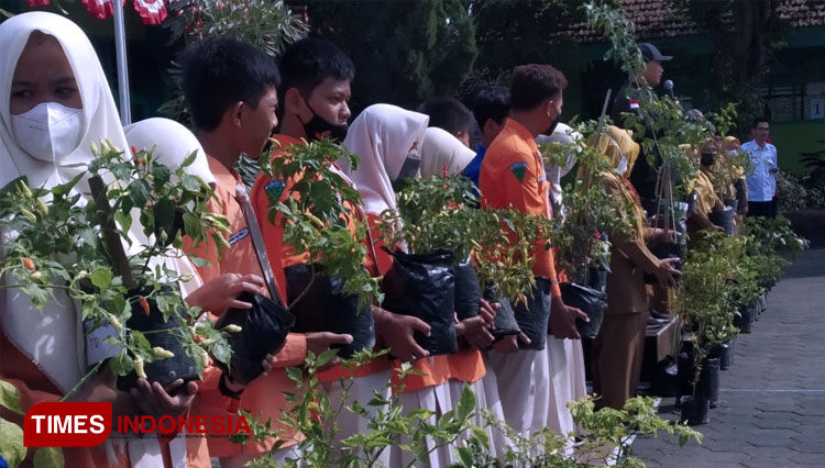 Mandiri Hadapi Inflasi, Wali Kota Madiun Maidi Dorong Warga Tanam Sayur dan Cabai