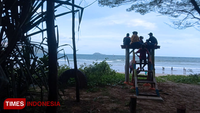 Suasana Pantai Cemara Pancer, di Dusun Pancer, Desa Sumberagung, Kecamatan Pesanggaran, Banyuwangi. (Foto : Syamsul Arifin/TIMES Indonesia)