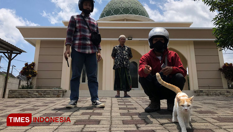 Polisi Selidiki Kasus Sejumlah Kucing Mendadak Mati Diduga Diracun