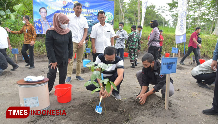 Suasana penanaman bibit kopi. (FOTO: Fajar Rianto/TIMES Indonesia)