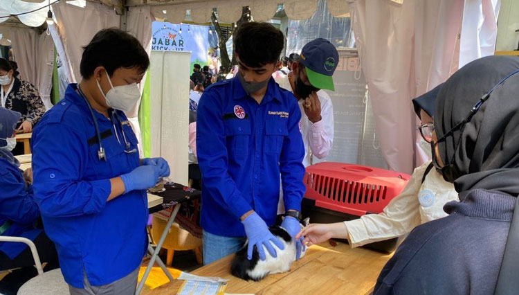 Royal Canin Indonesia dan Zoetis Indonesia Mendukung Program “Rabies: One Health, Zero Death” dengan Donasi 10.000 Dosis Vaksin Rabies dan Webinar Edukasi. (FOTO: AJP TIMES Indonesia)