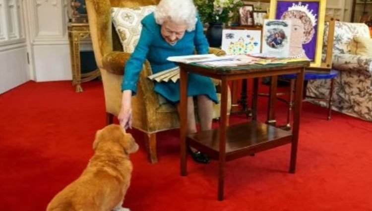 Anjing-corgi-kesayangan-Ratu-Elizabeth-II-a.jpg