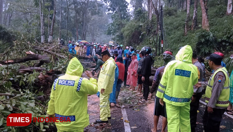 Angka Kecelakaan Lalu Lintas Di Kota Batu Meningkat - TIMES Indonesia