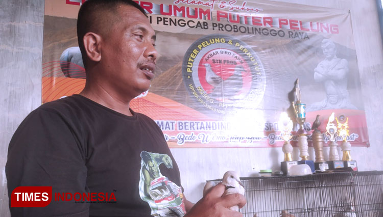 Petugas Damkar Kota Probolinggo, Sukses Berbisnis Burung Pelung Puter