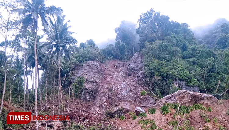Kaki Gunung Limo Pacitan Diterjang Longsor, Luluh-Lantahkan Ladang Warga