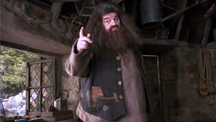 Robbie Coltrane, Pemeran Hagrid Di Film Harry Potter Meninggal Dunia ...