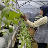 Menyulap Lahan Kosong di Kota Bandung Menjadi Rumah Edukasi Motekar