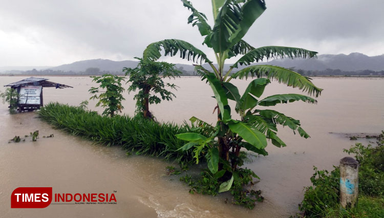 Banjir-merendam-area-persawahan-di-Kecamatan-Sutojayan-Kabupaten-Blitar.jpg