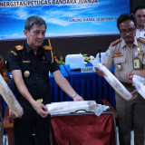 Petugas Gabungan di Bandara Juanda Gagalkan Penyelundupan Benih Lobster
