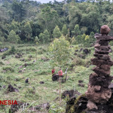 Surga Tersembunyi di Hutan Gunung Lawu Ngawi, Paket Lengkap Spot Olahraga Ekstrim