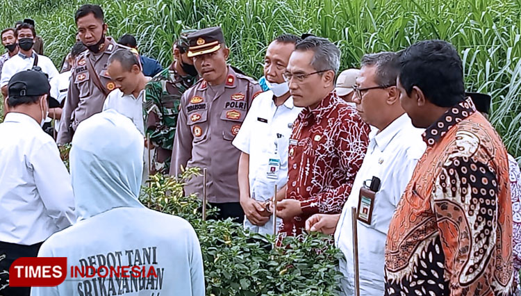 Pemkab Bantul Manfaatkan Lahan Wedi Kengser untuk Pertanian
