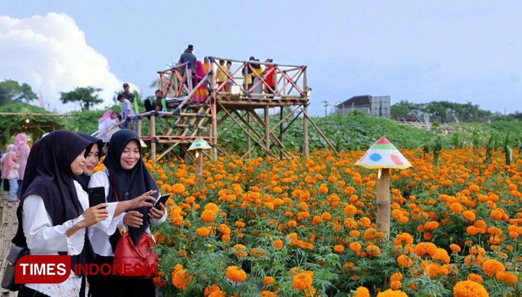 Kecantikan hamparan tanaman hias, holtikultura, pangan, dan produk unggulan Banyuwangi dalam Flower Festival. (Foto: Laila Yasmin/TIMES Indonesia)